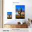 Parc national Harnek Saguaro Est III-108445417
