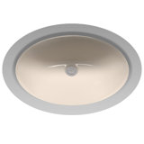 Rendezvous® Vitreous China Oval Undermount Bathroom Sink with Overflow