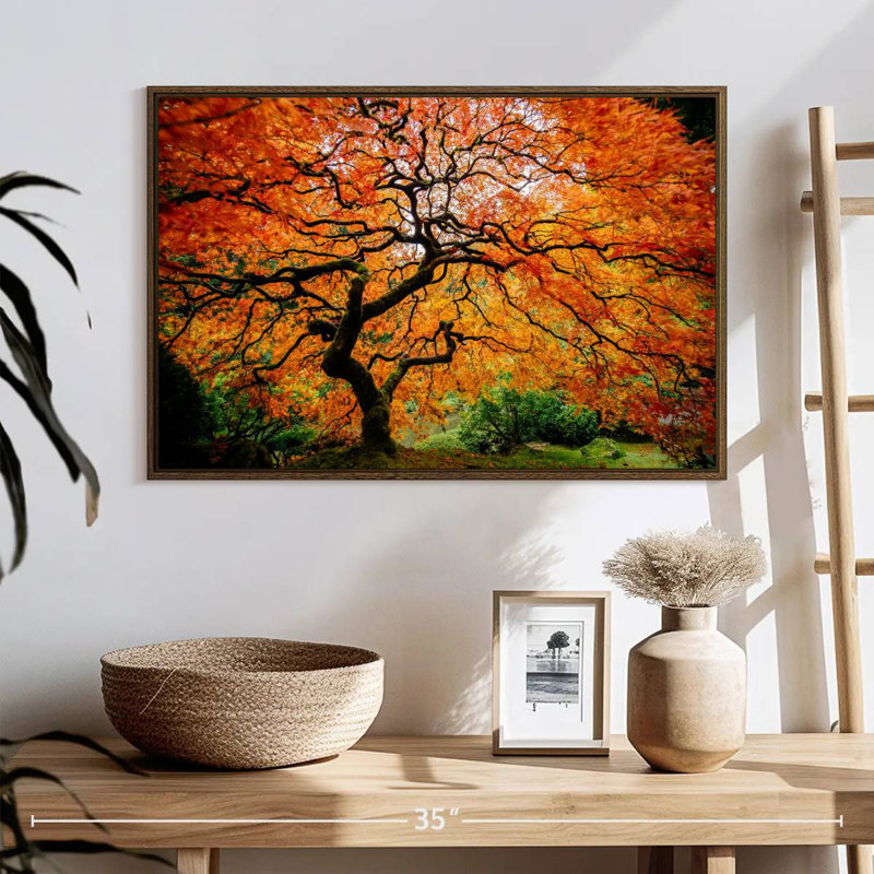 Automne érable japonais, 25 po x 17 po, Cadre flottant en noyer