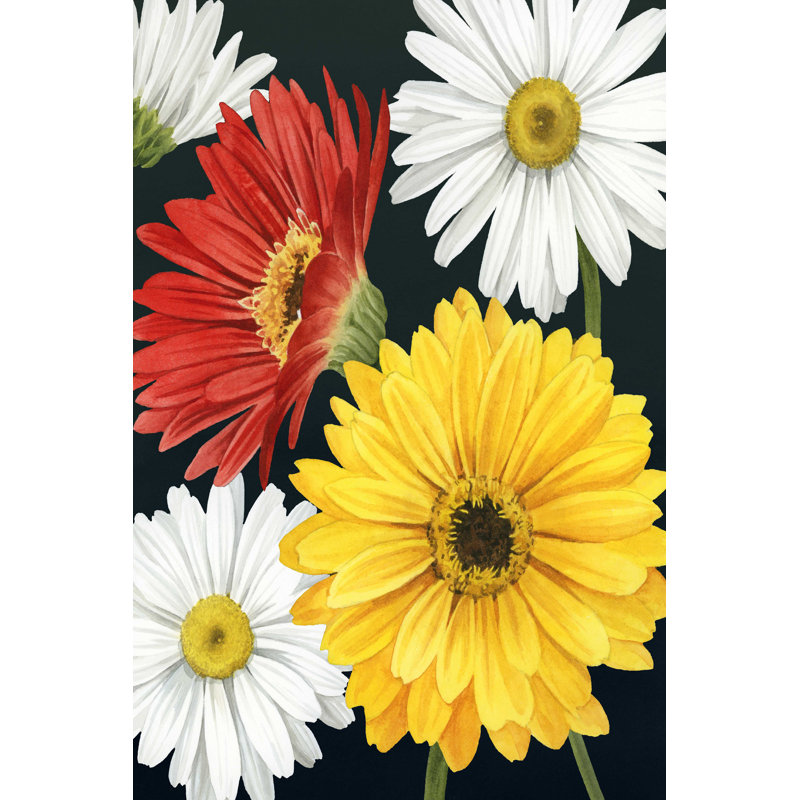 «Gerbera Daisy II» par Grace Popp - reproduction d'art sur toile tendue, H 18 po x l 12 po x P 1,25 po