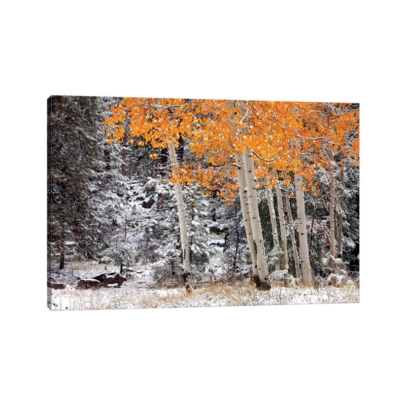 A Little Bit Of Winter by Mike Jones - Wrapped Canvas Print, 66.04 cm H x 45.72 cm W