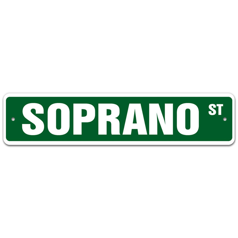Plaque de rue, H 6 po x l 24 po x P 0,1 po