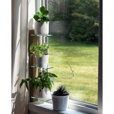Étagère de rebord pour fenêtre à 3 niveaux pour plantes d'intérieur | Support à plante amovible en bois massif et en verre avec attaches autoagrippantes | Conception conviviale pour une installation facile