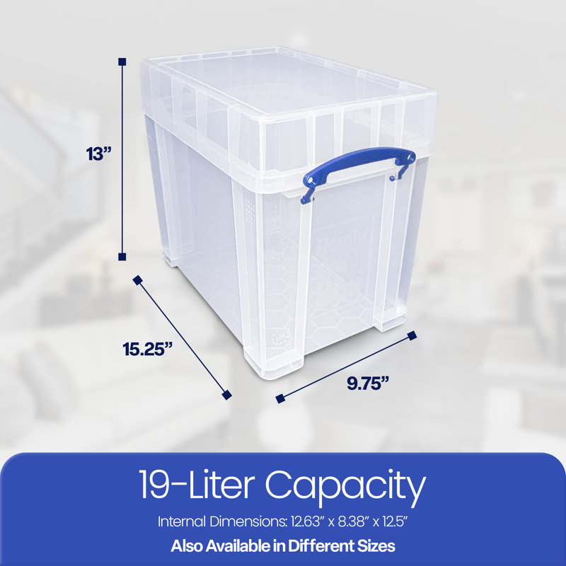 Ivy Bronx 19 Liters Transparent Storage Container with Snap Lid, 2 Pack