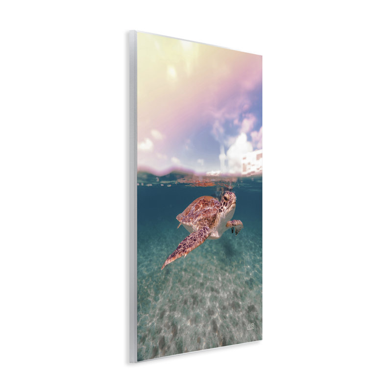 Art mural au-dessus et au-dessous de la tortue de mer par Max Blakesberg Studios, H 19 po x l 13 po