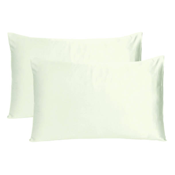 Everly Quinn Nickson Velvet Reversible Pillow Cover & Reviews | Wayfair