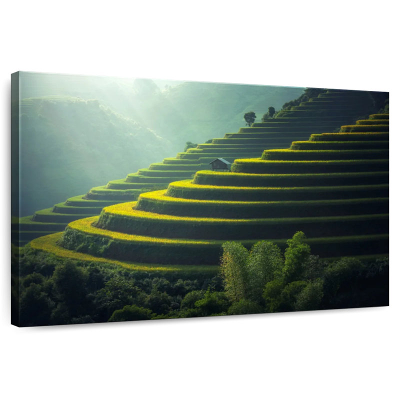 Rizières en terrasses Alvord, H 16 po x l 24 po