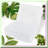 SnapSafe Photo Storage Box, Clear