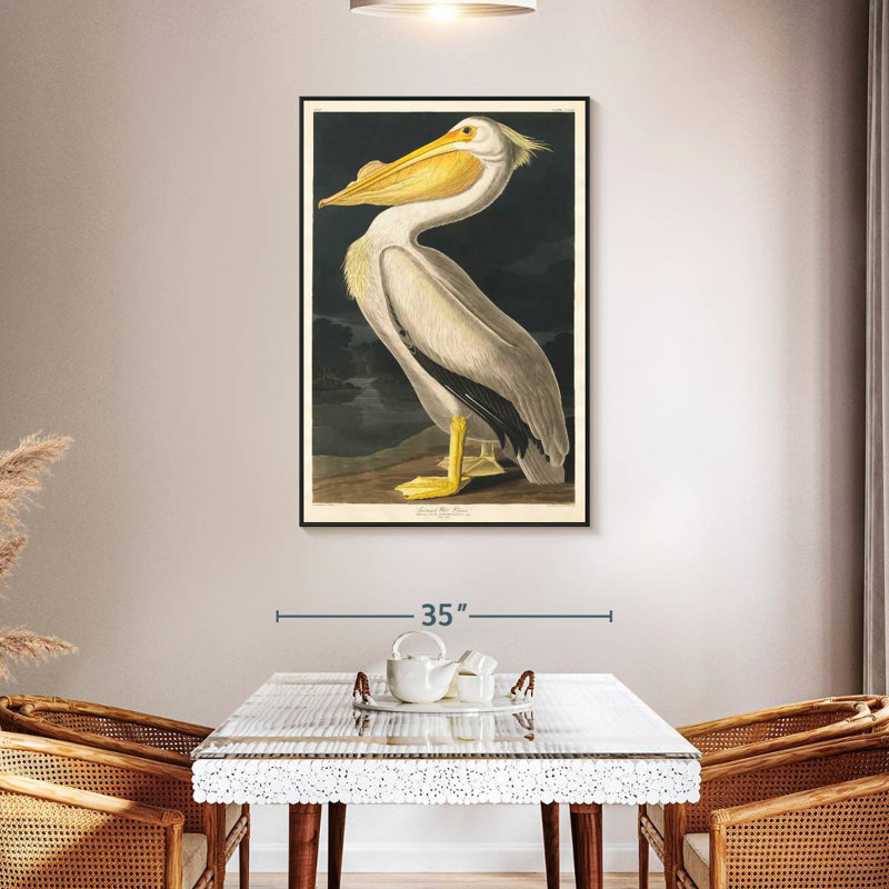 Pélican d'Amérique des oiseaux d'Amérique, 31 po x 46 po, Cadre flottant noir