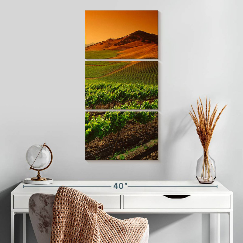 Carneros Vineyard Twilight, H 32 po x l 15 po