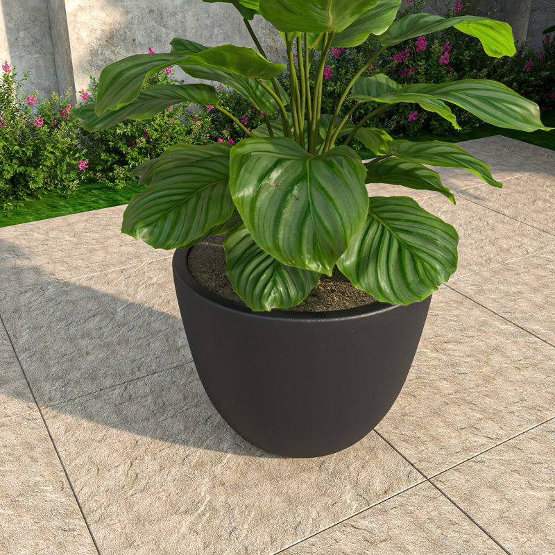 Owasso Tapered Round Pot Planter in Handmade MGO Clay Fiberstone - Indoor and Outdoor Use with Drain for Patio, Garden, Backyard, and Modern Home