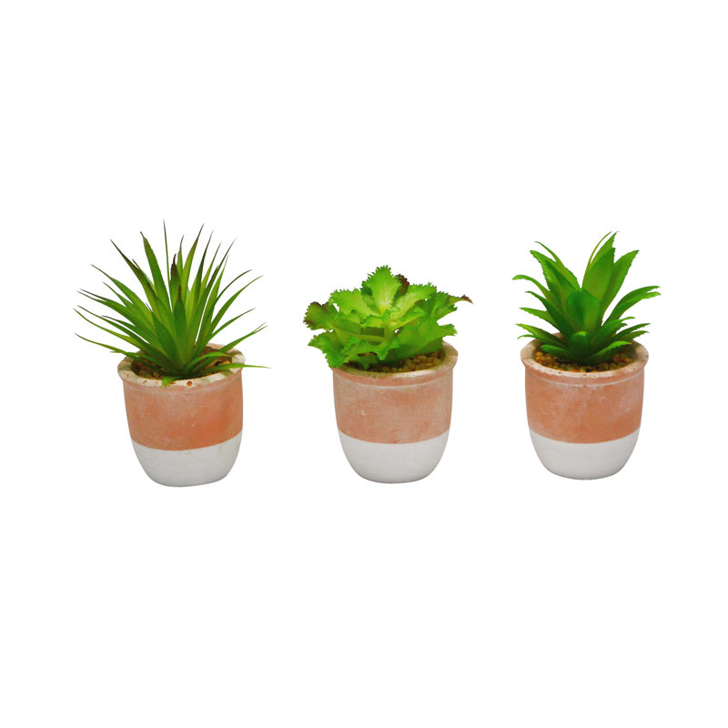 3 "plante grasse 3" en pot décoratif - ensemble de 3