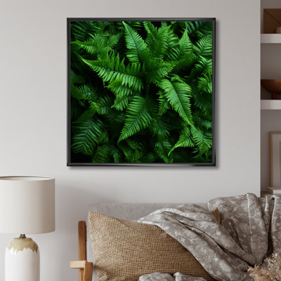 «Green Fern Forest Beauty III - Ferns», art mural