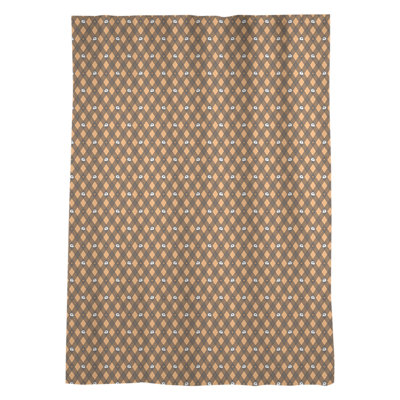 Sheer Single Curtain Panel
