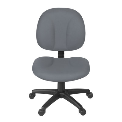 Burrus Series Swivel Fabric Computer Task Chair - Armless by Latitude Run