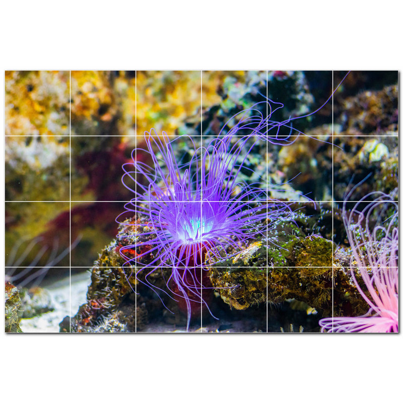 Coral Photo 6'' x 6'' Satin Ceramic Decorative Mural