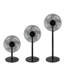 Russell Hobbs RHMPF3IN1B 3-in-1 Pedestal Fan in Black-102219431