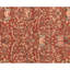 Hand Knotted Wool Area Rug in Rust And Ivory