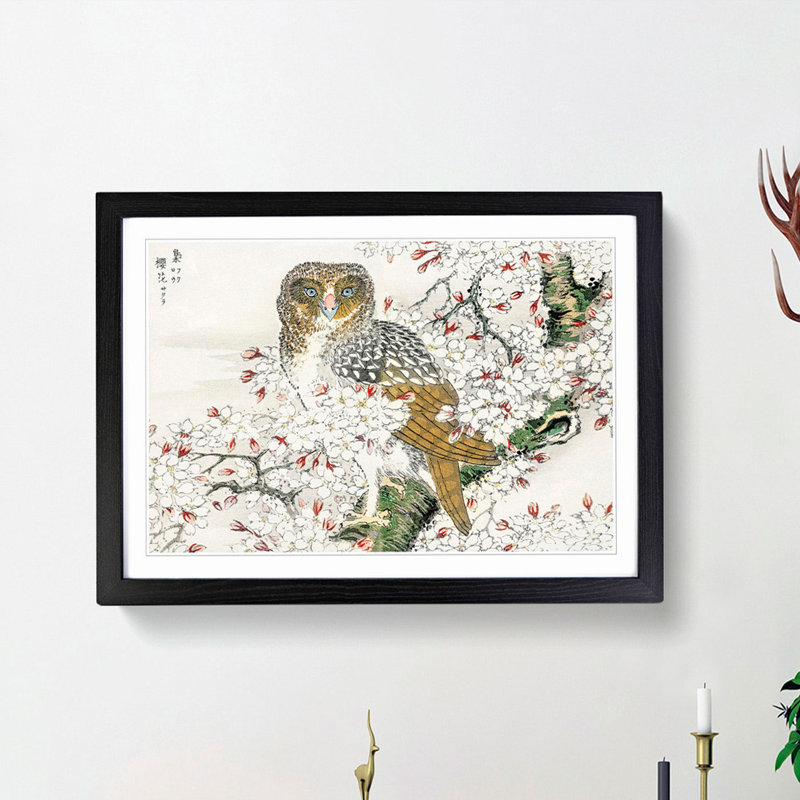 Short-Eared Owl & Cherry Flower by Numata Kashu - Picture Frame Painting Print, 50cm H x 76cm W x 2cm D, Black