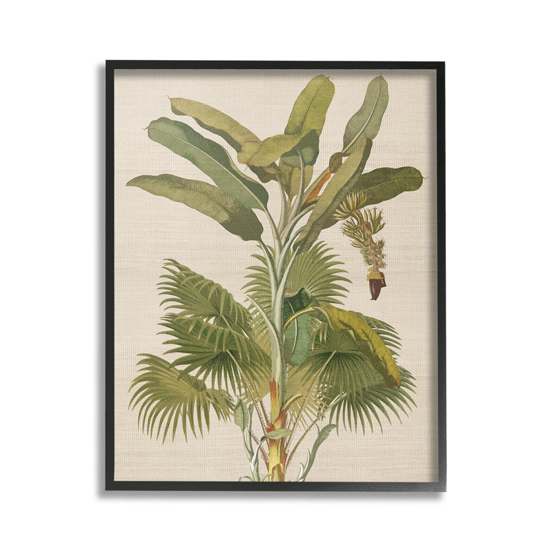 Rétro, plante tropicale, giclée, art par Ambre, Giclée encadrée noir minuit, 30" H x 24" W