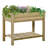 Abin Raised Garden Bed