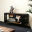 Sanctuaire pour chats The Glasshouse
