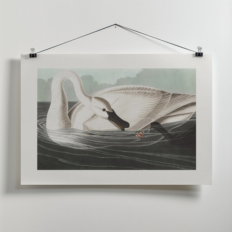 Wrapped Canvas Print, 50.8 cm H x 76.2 cm W