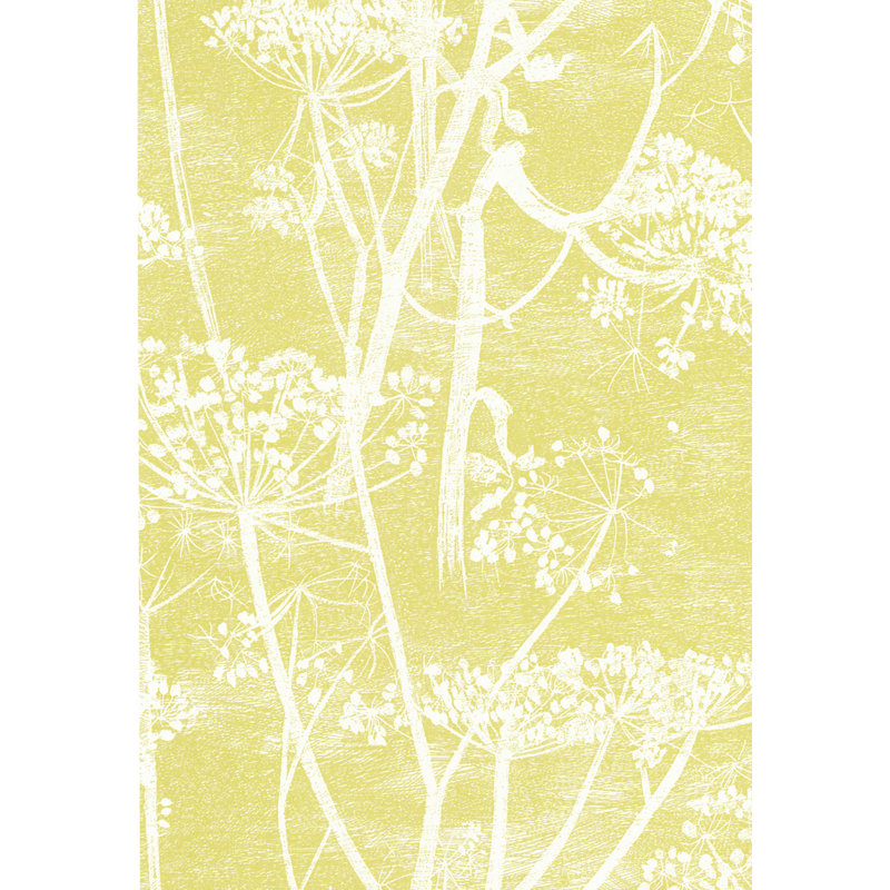 Cow Parsley Floral Wallpaper Roll, White/Yellow