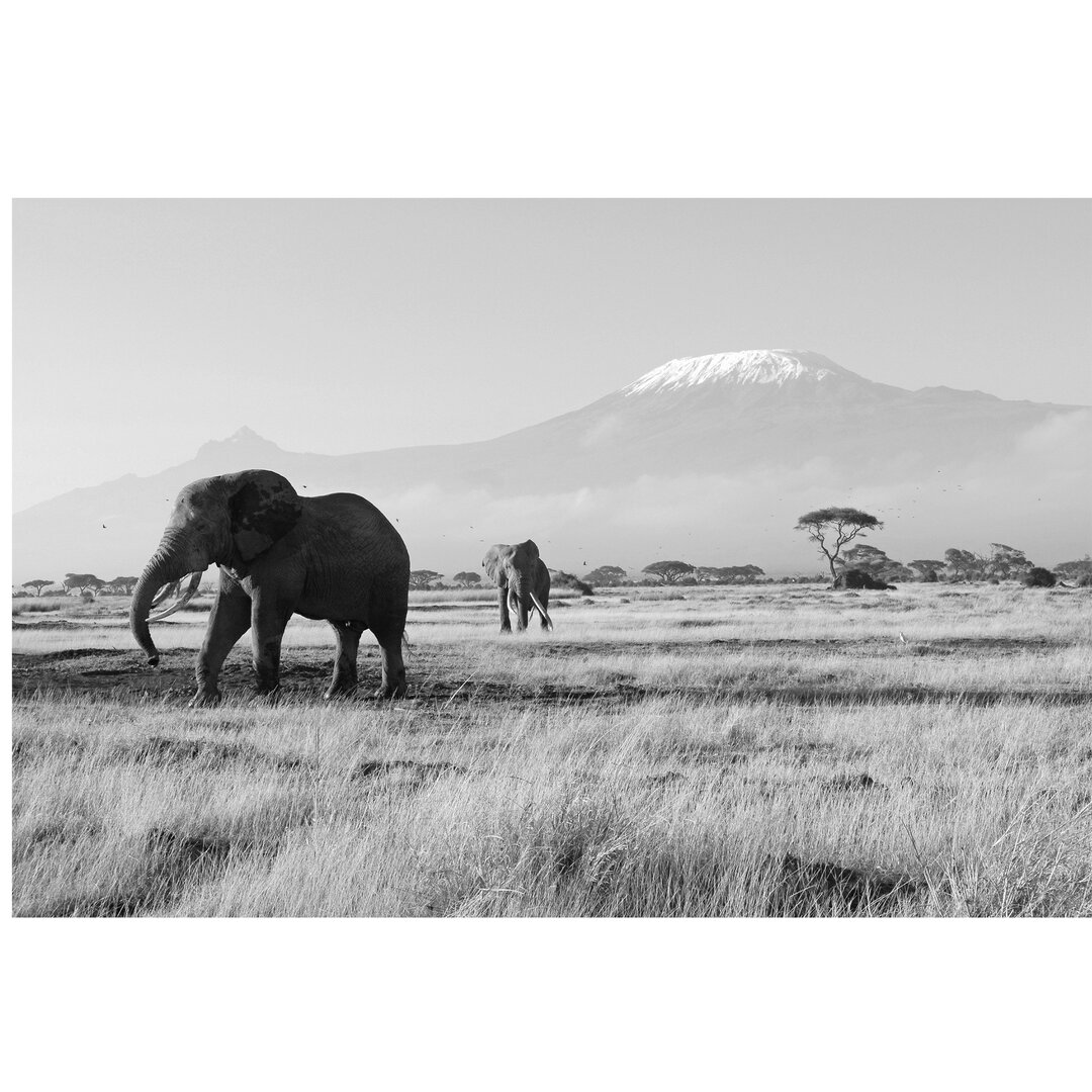 Tapete Elephants Beneath Kilimanjaro