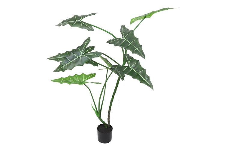 Faux Alocasia Plant in Planter, 170cm H x 120cm W x 120cm D, 37