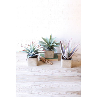 11 " H Faux Succulent in Cement Pot
