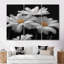 Monochromes noir et blanc «Bliss Daisy Photo III» - impression d'art mural marguerites-107189147-107189144