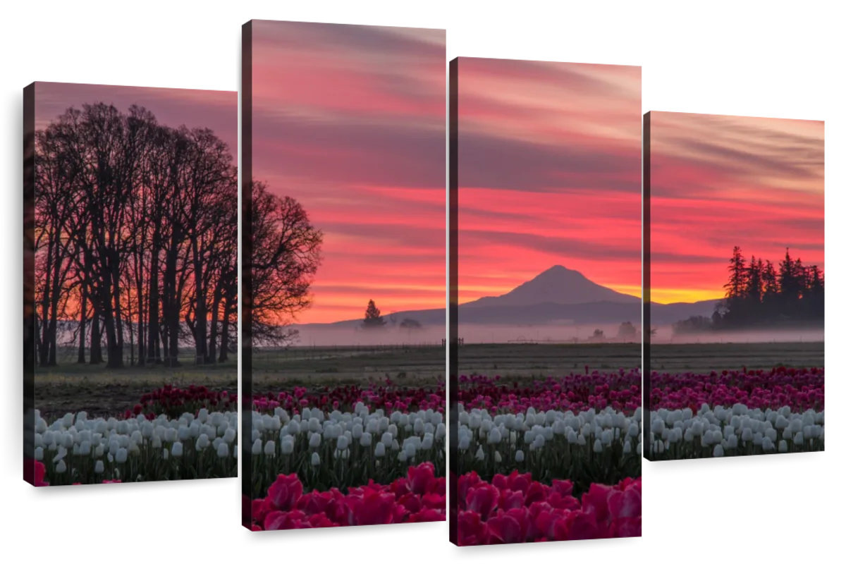 Millwood Pines Alvord Tulip Field Sunset - Wayfair Canada