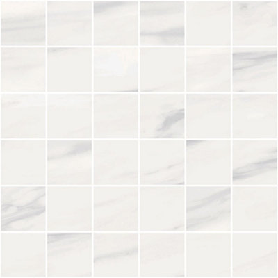 2" x 2" Porcelain Grid Wall & Floor Tile