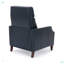 Fauteuil inclinable Biscoe-1386617911