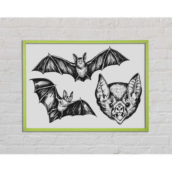 Latitude Vive The Trio Of Bat Illustrations - Single Picture Frame Art ...