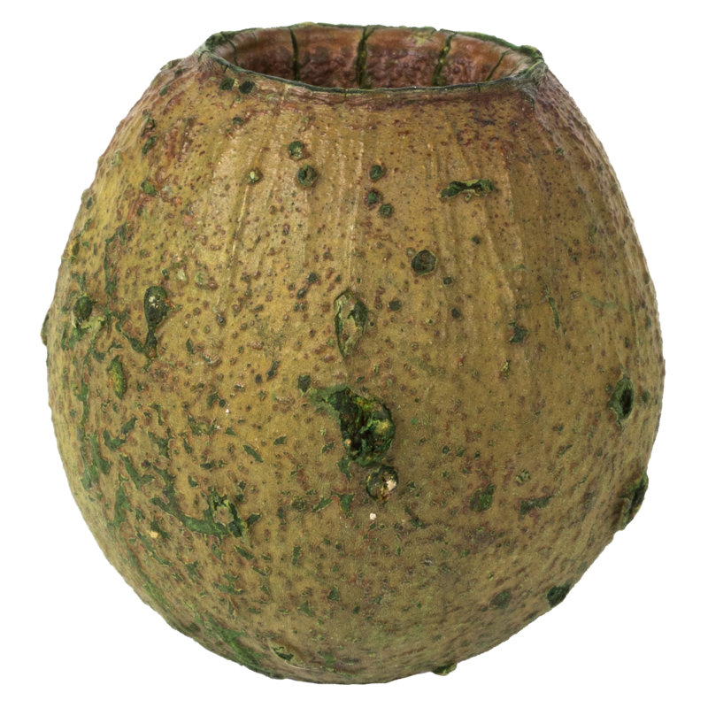 Gousses de gomme de cloche 1 po Primrue, ensachées, sac de 2,2 lb, séchées