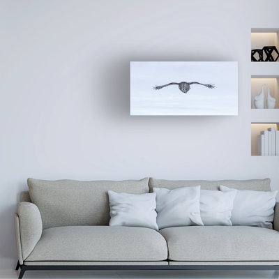 Modern & Contemporary