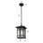 Almaha 12 inch Outdoor Pendant in Black