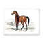 Cheval rétro - peinture sur toile-59815787-59815792
