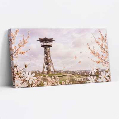 Toile d'observation encadrée par des fleurs de cerisier roses