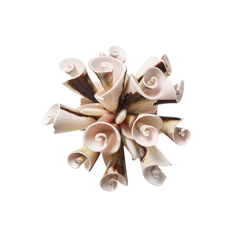 Seashell Burst Napkin Ring in Ivory/Natural
