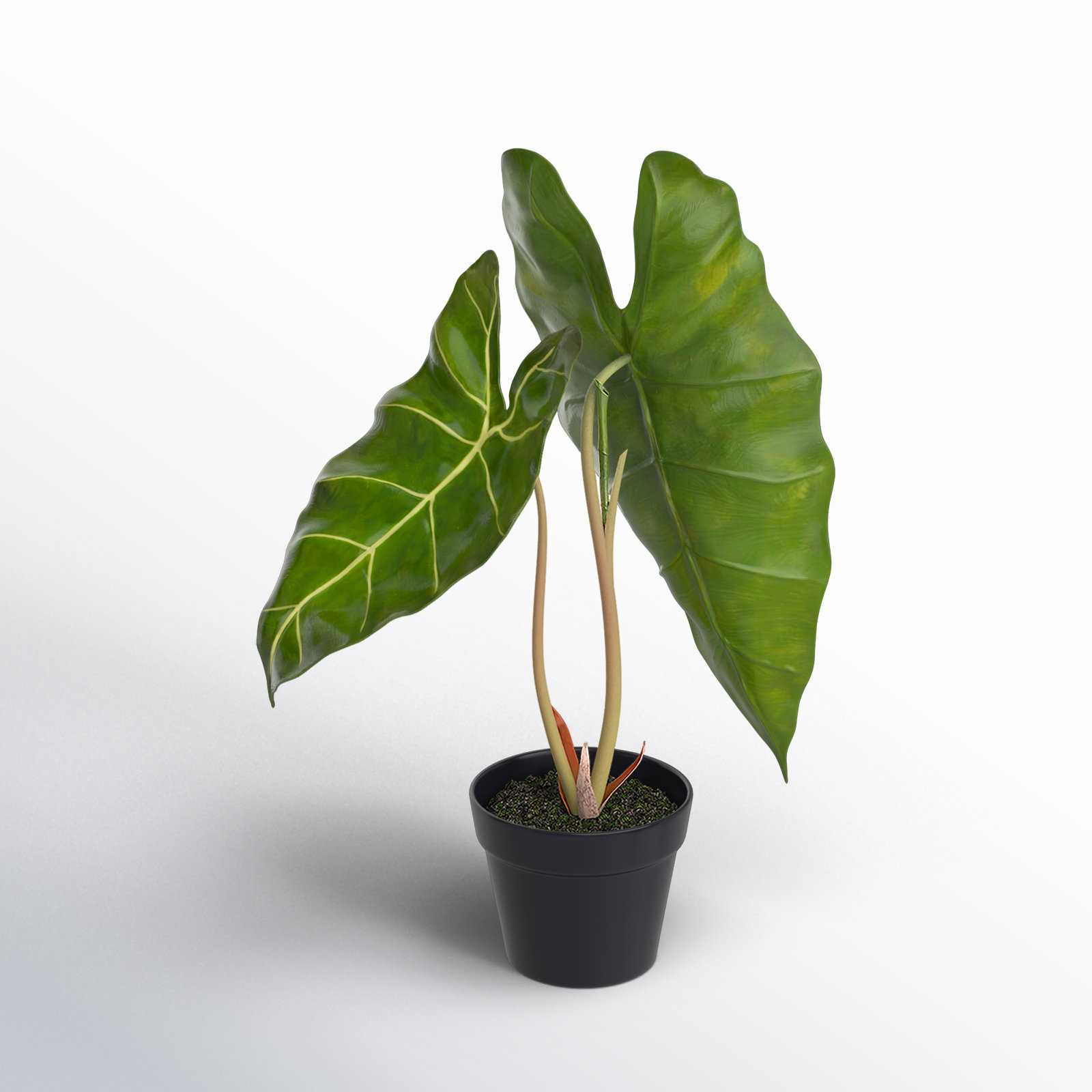 24'' Faux Alocasia Plant in Pot