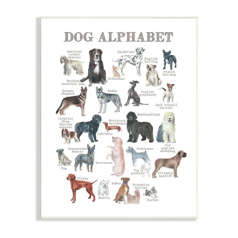 "Dog Alphabet Multiples Races", H 15 po x l 10 po x P 0,5 po