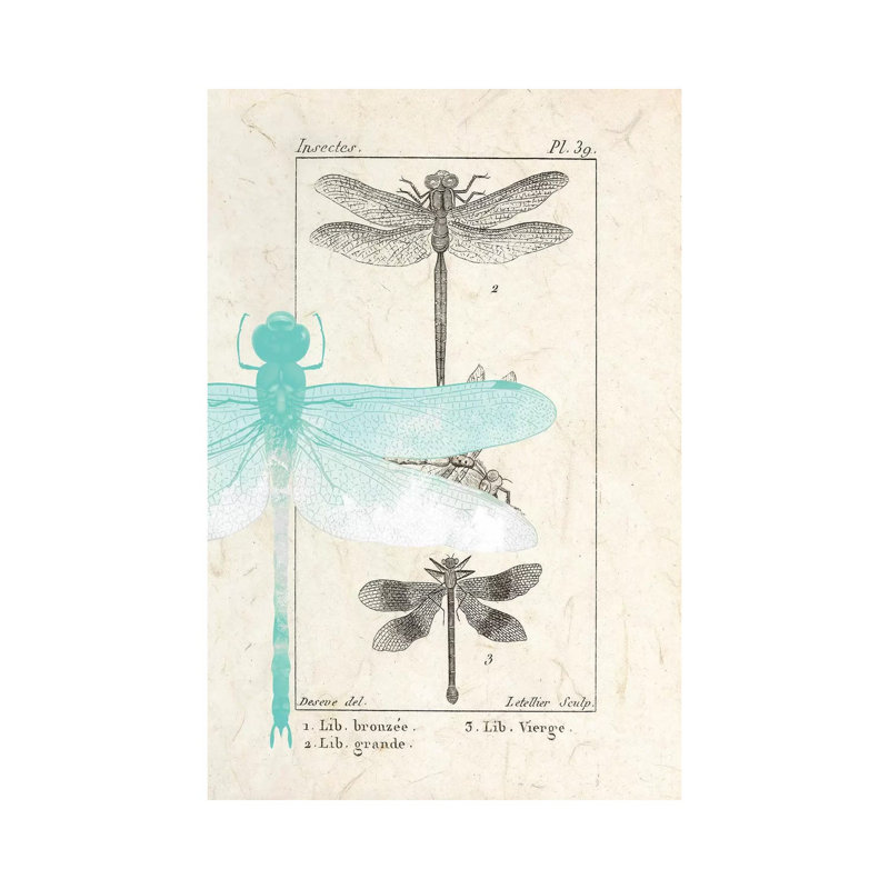 «Field Guide I» par Kimberly Allen - Giclée sur toile tendue avec châssis, H 18 po x l 12 po x 1,5 po