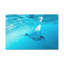 No Frame Print on Canvas-1072073024