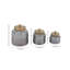 Mabank Glass Decorative Jars with Wood Lids Set-30689851-30689849