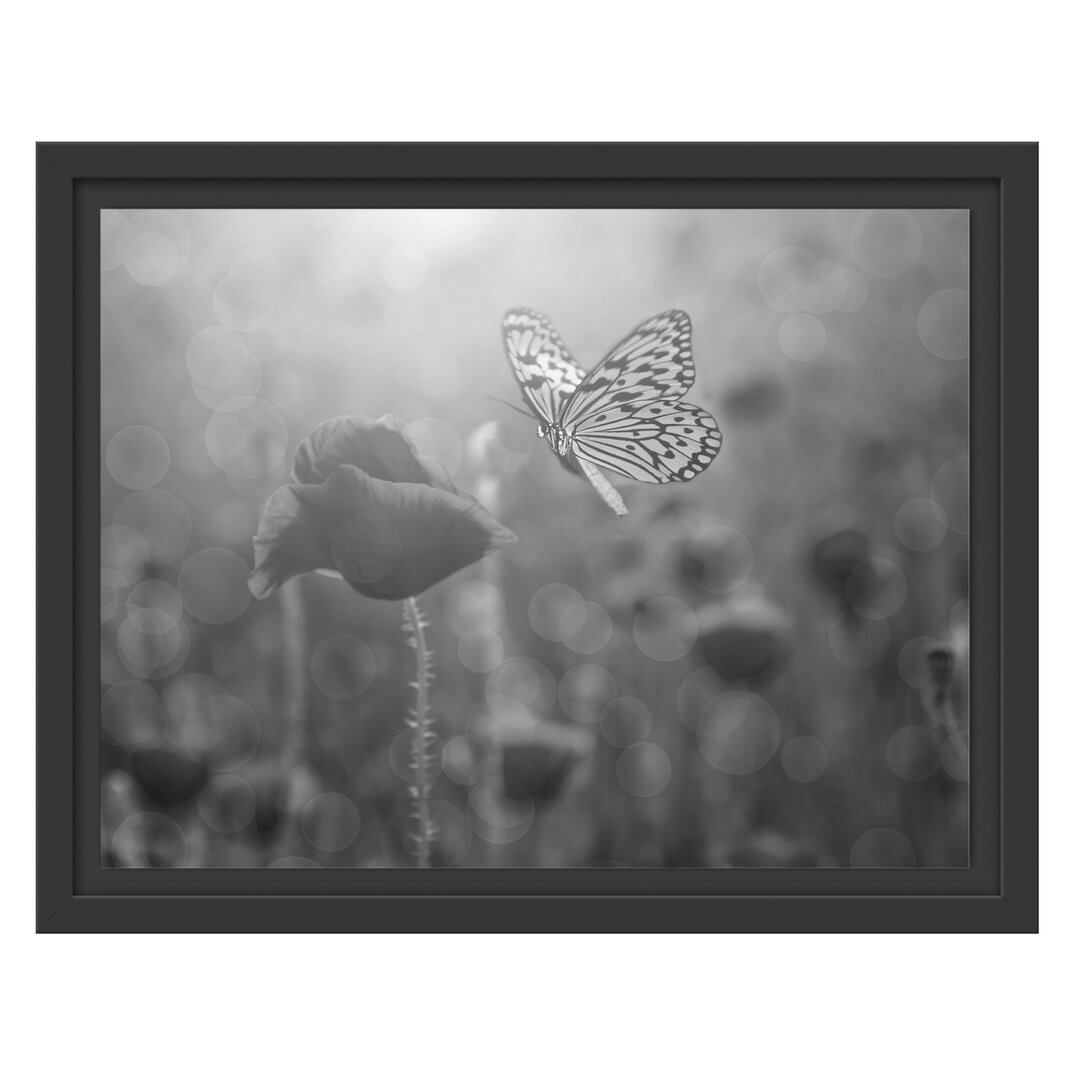 Gerahmtes Wandbild Mohn und Schmetterling Kunst B&W