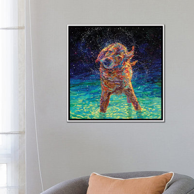 " Moonlight Swim "
