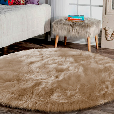 Indoor Rug